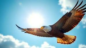 Living Like a Chicken vs Soaring Like an Eagle: From Survival to True Living